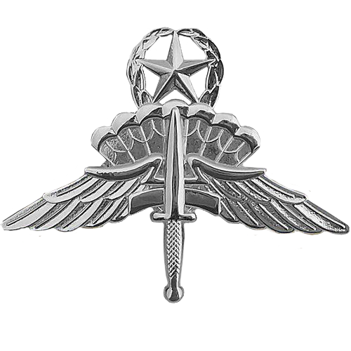 Military FreeFall Jump Master Badge